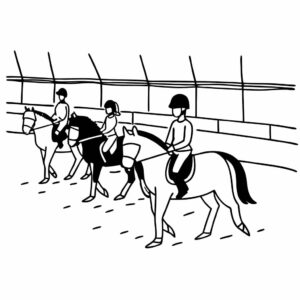Clase de equitación